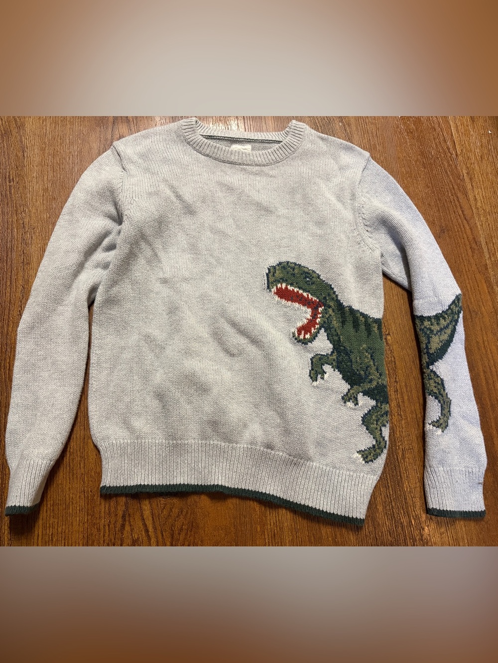Gap Dinosaur Sweater